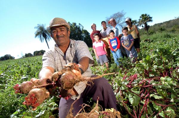 Prazo para desconto em pagamento de dívida de crédito rural termina segunda-feira