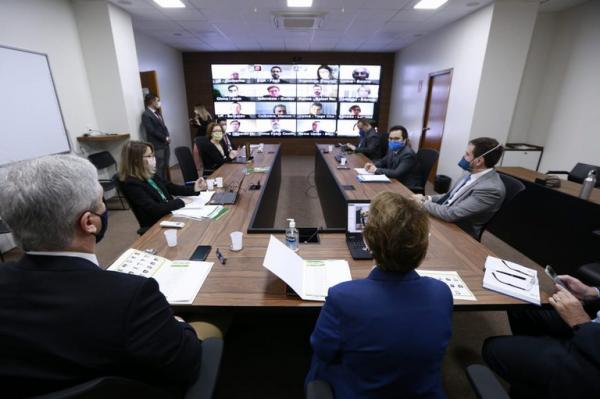 Ministra discute com adidos agrícolas cenários para o setor após a pandemia