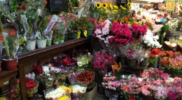 Diferença de preços de produtos para o Dia das Mães chega a 226%, conforme pesquisa do Procon Estadual