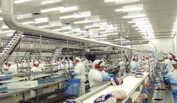 Exportações crescem de janeiro a julho no MS
