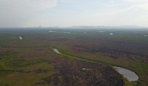 Chuva ajuda a controlar incêndios no Pantanal, mas equipes continuam alertas