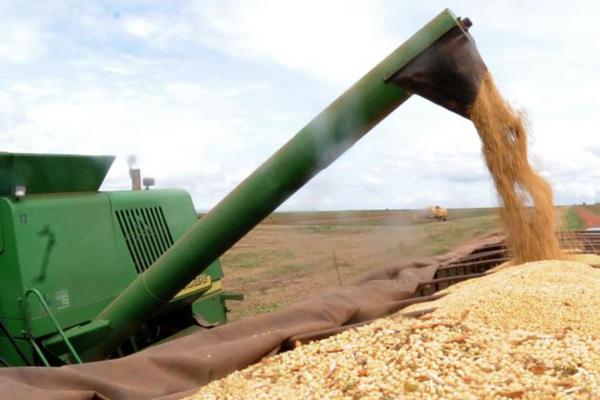 Conab prevê produção recorde de grãos na safra 2020/21