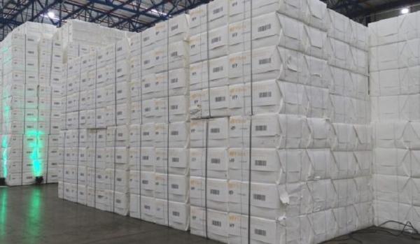 Maior exportador de celulose do país, MS vê setor florestal impulsionar economia verde no Estado