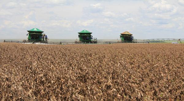Superávit do comércio exterior de MS foi 38% maior em 2020, puxado pelo agro