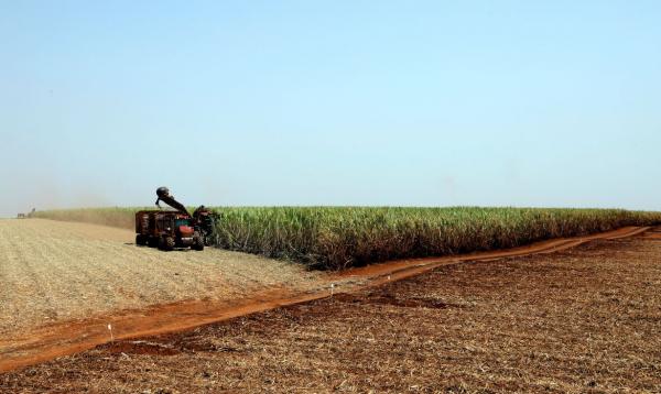 Com mercado aquecido, estado aumentou em cinco vezes a exportação de açúcar