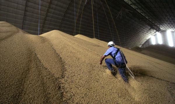 Brasil será maior exportador de grãos do mundo em cinco anos