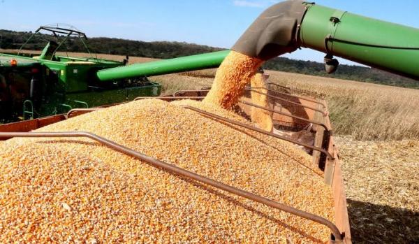 Exportações de MS crescem de janeiro a abril e saldo da balança comercial é de US$ 1,213 bilhão