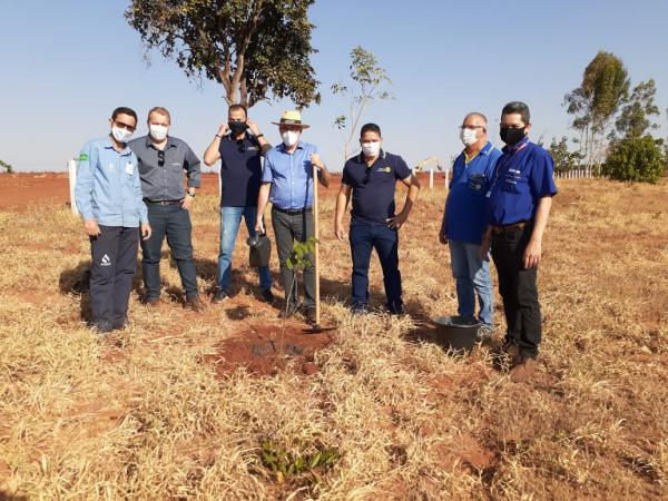 Meio Ambiente: Rotarianos realizam plantio de ipês na ETE Aporé