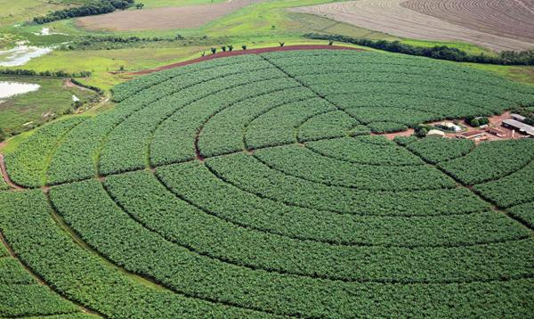 Conab estima safra de grãos 2021/2022 em 289,6 milhões de toneladas