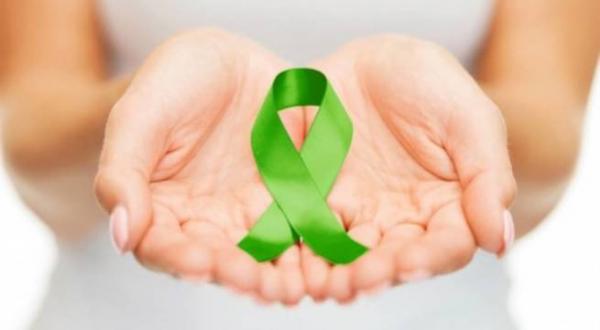 Setembro Verde: a esperança que se renova em um gesto de solidariedade