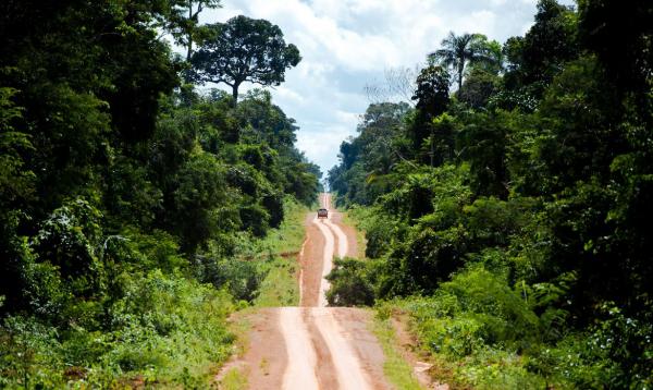 Força Nacional ajudará Funai a proteger indígenas Kawahiva