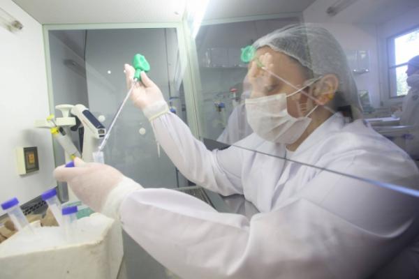 Vacina contra a cepa H3N2 de Influenza chega em março, diz ministério