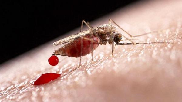 Taxa de mortalidade de doenças negligenciadas aumenta durante pandemia