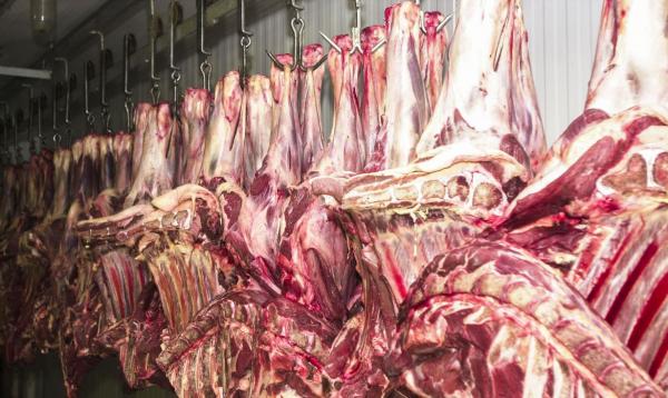 MS já detém 10% das exportações brasileiras de carne e dribla perdas do agro com tecnologia