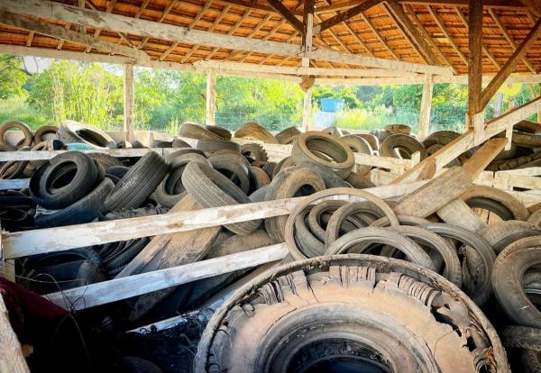 Prefeitura coleta pneus velhos das borracharias de Rio Verde  