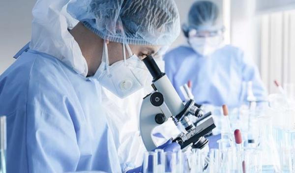 Cientistas descobrem método que impede totalmente a infecção pelo coronavírus