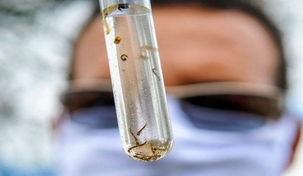 Mato Grosso do Sul teve 17 mortes por dengue no primeiro semestre deste ano