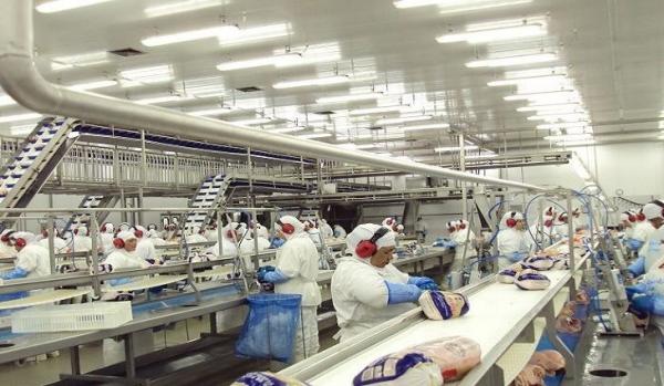Previsão de inflação para 2022 cai pela 12ª vez seguida e alcança 6%