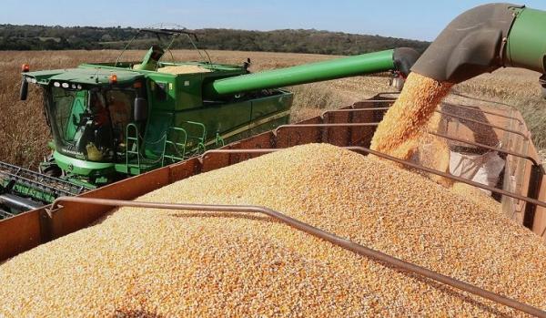 Produção agrícola de MS deve aumentar 10% em um ano