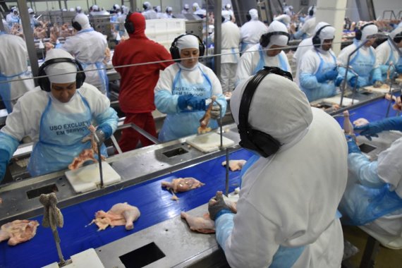 Quase 147 mil trabalhadores constroem indústria de feitos inéditos e relevância econômica em MS