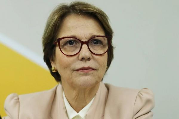 Tereza Cristina: “Não precisa de invasão para reforma agrária”