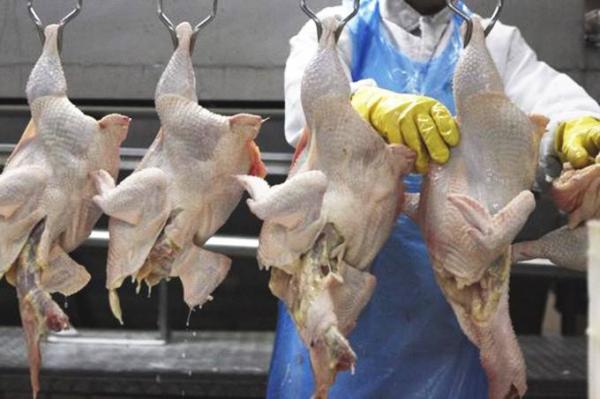 Carne Fraca: Coreia do Sul retoma compra de frango do Brasil