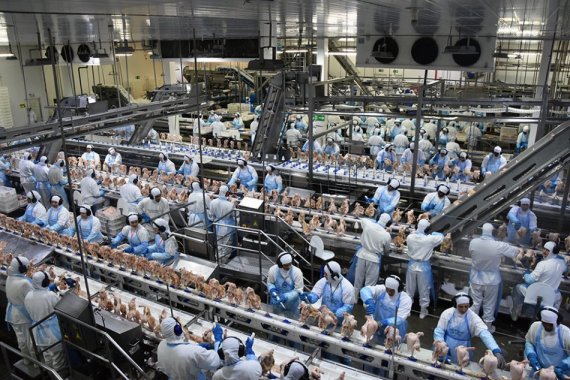 Indústria de MS gerou 1,5 mil novos postos de trabalho em abril e 7,3 mil no acumulado do ano