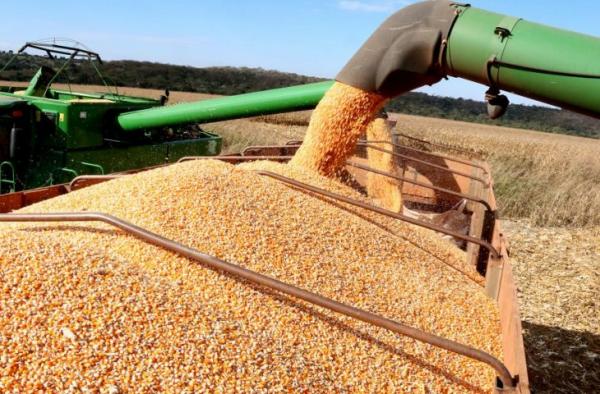 Produção agrícola do Estado deve superar 72 milhões de toneladas