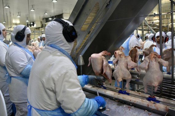 MS investe em qualificação de mão de obra para atender novos empreendimentos