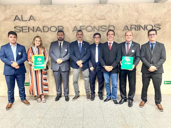 Vereadores de Rio Verde encerraram agenda positiva em Brasília 