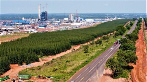 Empreendedores investem no novo polo de celulose do Brasil