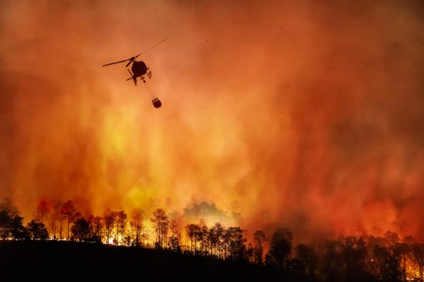 Amazônia bate recorde de focos de incêndio para o mês de fevereiro
