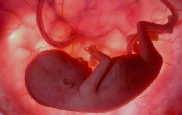 Governo Lula libera aborto em qualquer tempo gestacional
