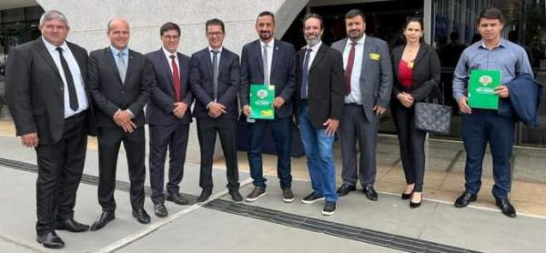 Vereadores de Rio Verde seguem cumprindo agenda em Brasília 