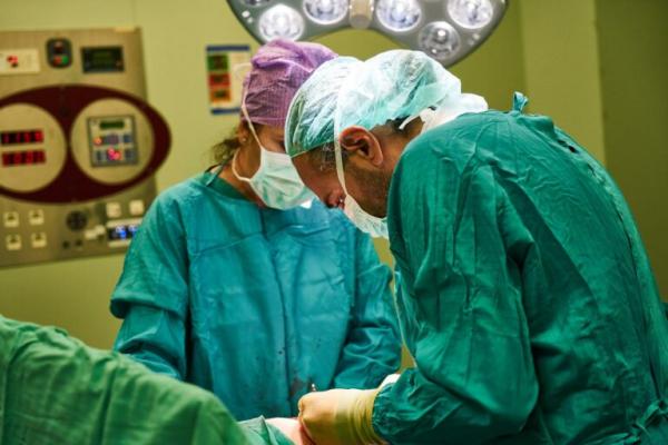 Rim de porco é transplantado para ser humano pela 1ª vez