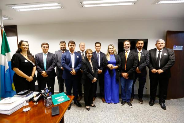 Vereadores concluem agenda em Brasília com saldo positivo para Rio Verde 