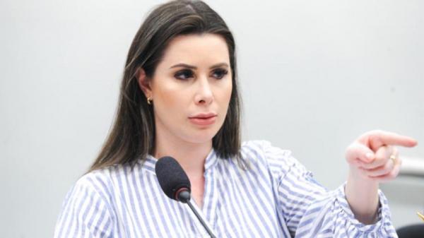 CCJ aprova projeto que permite os estados legislar sobre armas de fogo