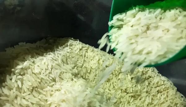 Arroz importado sairia mais caro que preço atual no supermercado