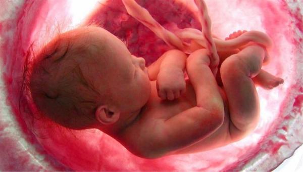 Decisão que autorizou adolescente a abortar foi baseada em parecer médico errôneo