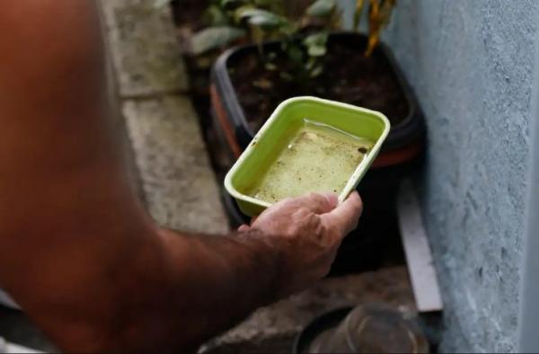 MS registra 15.501 casos confirmados de dengue