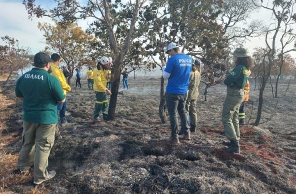 Peritos, bombeiros e PMA de MS passam por curso para identificar incêndios florestais criminosos