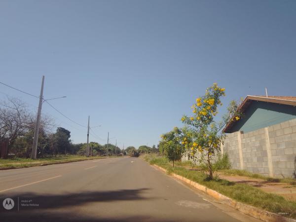 Segunda-feira de muito calor no MS