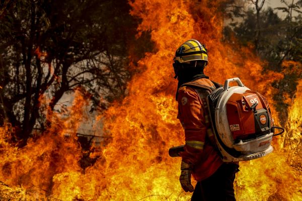 Gestão de Lula no meio ambiente é ruim ou péssima para 44%, diz Ipec