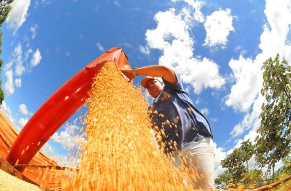 Produtores rurais devem declarar área plantada de soja até o dia 10 de janeiro