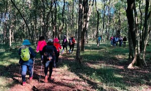 Turismo na Rota Caminho dos Ipês é impulsionado com apoio do Sebrae