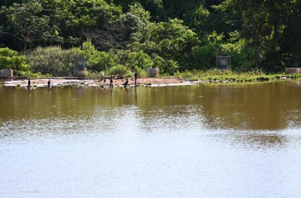 Desassoreamento do lago de contenção chega a 80%