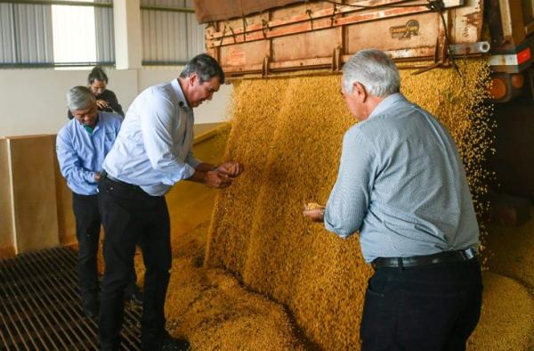 Capacidade de processar soja crescerá 20% com novo empreendimento em Maracaju