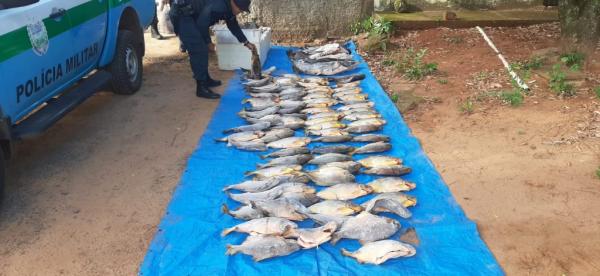 Piracema chega ao fim e pesca está liberada desde este sábado