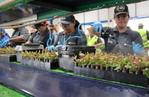 Governo de MS anuncia novas oportunidades de capacitação profissional