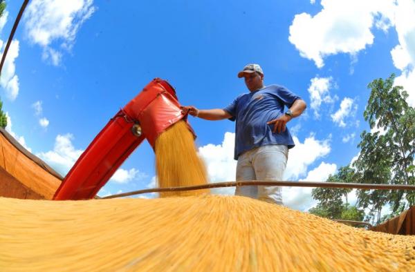 Produção agrícola de Mato Grosso do Sul deve chegar a 75,3 milhões de toneladas na safra 2024/25